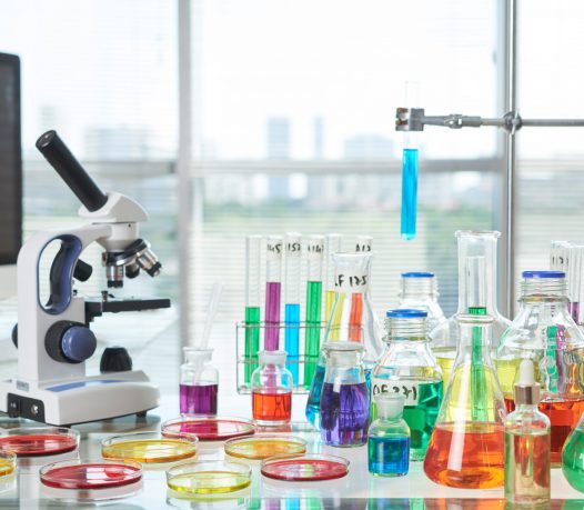 Interior of modern laboratory: desk with Petri dishes, test tubes, flasks and modern microscope on foreground, panoramic windows with blinds on background