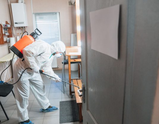 coronavirus-pandemic-disinfector-protective-suit-mask-sprays-disinfectants-house-office_155003-7312